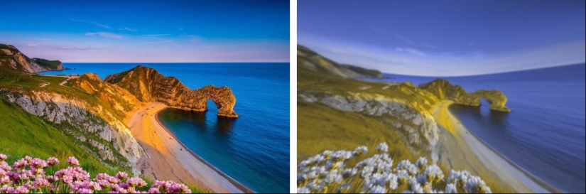 How dogs see How dogs see