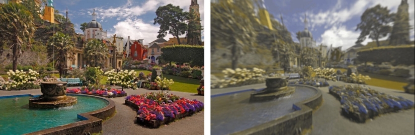 How dogs see How dogs see