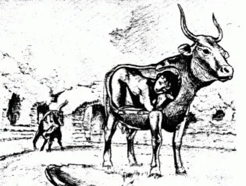 How King Minos insulted the gods, and they forced his wife to give birth to a Minotaur bull How King Minos insulted the gods, and they forced his wife to give birth to a Minotaur bull