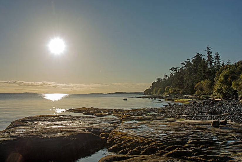 How Little Fluffy Dogs Saved Indians From the Cold for Centuries