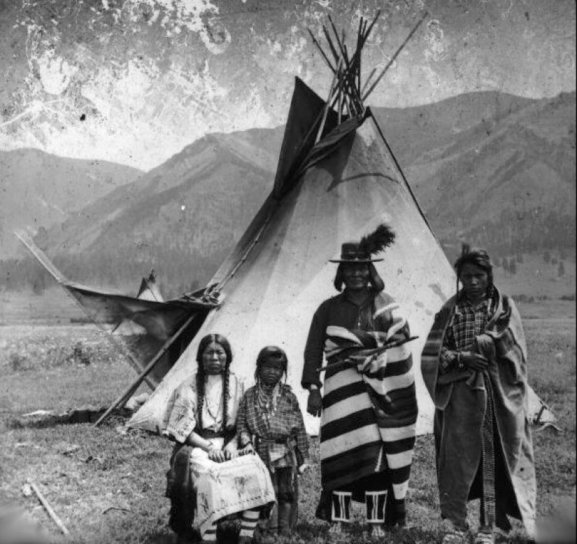 How Little Fluffy Dogs Saved Indians From the Cold for Centuries