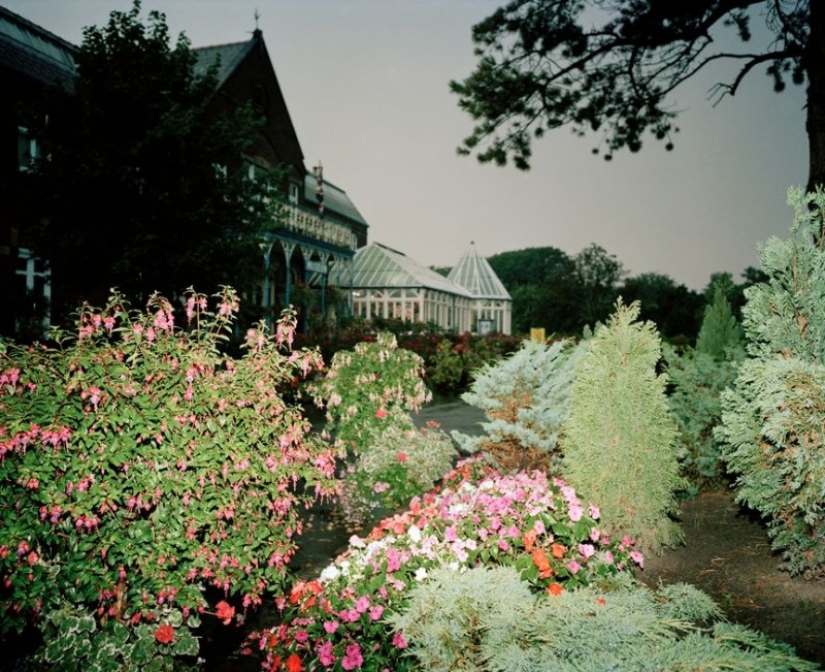 How Liverpool lived in the early 80s: candid photos of controversial photojournalist Martin Parr How Liverpool lived in the early 80s: candid photos of controversial photojournalist Martin Parr