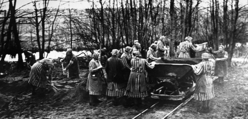 How ordinary German housewives became executioners at the Ravensbrück concentration camp
