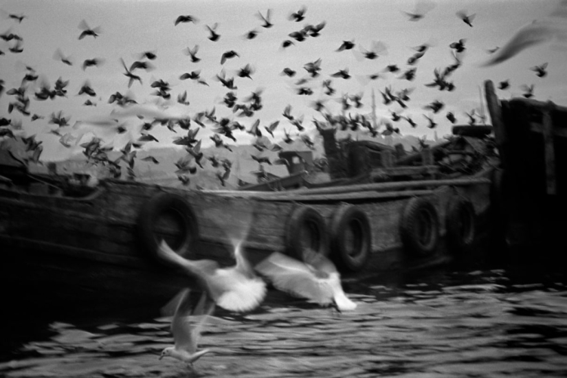 How photographer Ara Guler showed the world the heart of Istanbul and its pain How photographer Ara Guler showed the world the heart of Istanbul and its pain