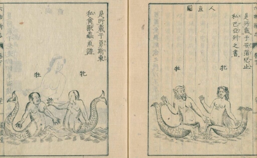 How the cult of mermaids "ningyo" appeared in Japan and why their mummies are so valued