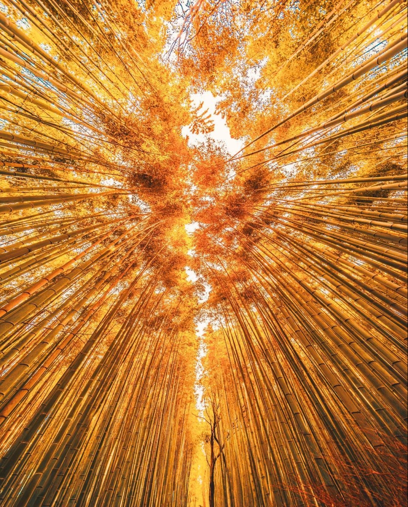 How the heart of Greater Tokyo beats: Bright Japan in photos by Naohiro Yako How the heart of Greater Tokyo beats: Bright Japan in photos by Naohiro Yako