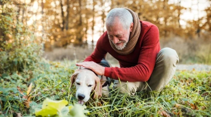 How the phrase "A dog is a man's best friend" came about