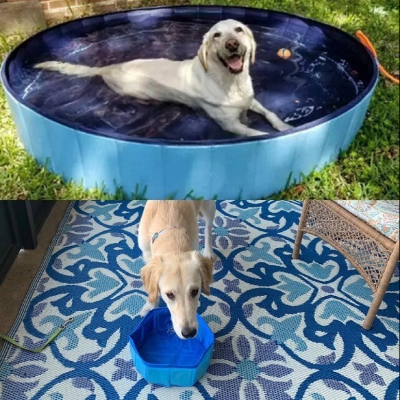 How these marketers got tired! 20 failed purchases, the disappointment of which cannot be measured How these marketers got tired! 20 failed purchases, the disappointment of which cannot be measured