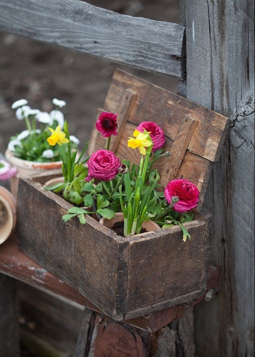 How to create a beautiful, unusual flower bed from improvised materials: 20 examples How to create a beautiful, unusual flower bed from improvised materials: 20 examples