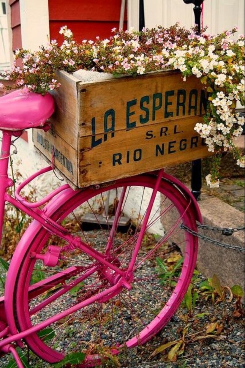 How to create a beautiful, unusual flower bed from improvised materials: 20 examples How to create a beautiful, unusual flower bed from improvised materials: 20 examples