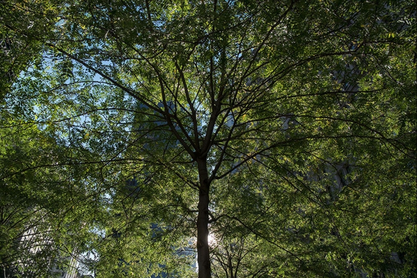 How to look like famous tourist places, if you turn the camera the other way