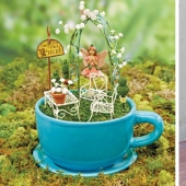 How to make a garden in a teacup: 25 creative ideas