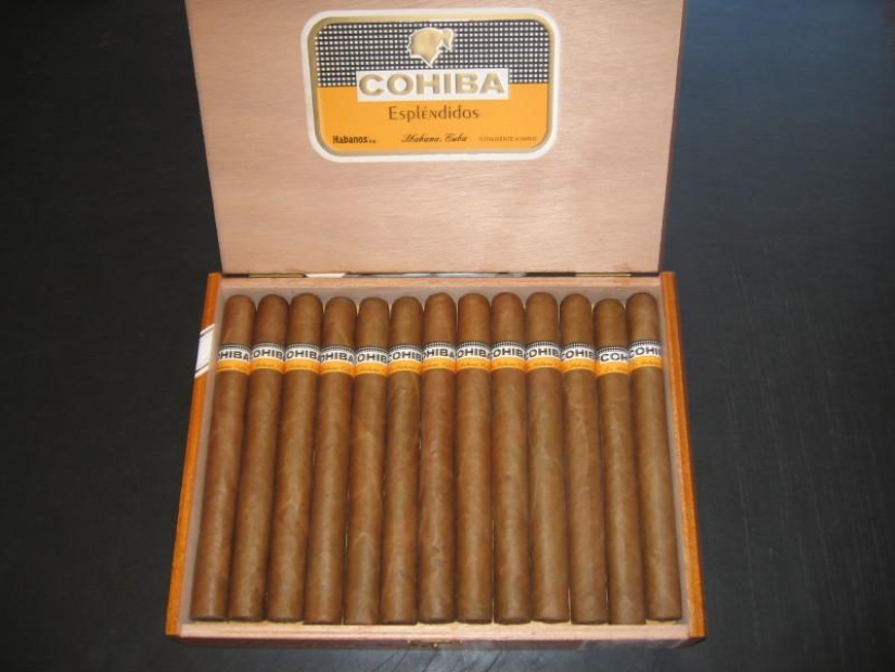 How to make the best Cuban cigars How to make the best Cuban cigars