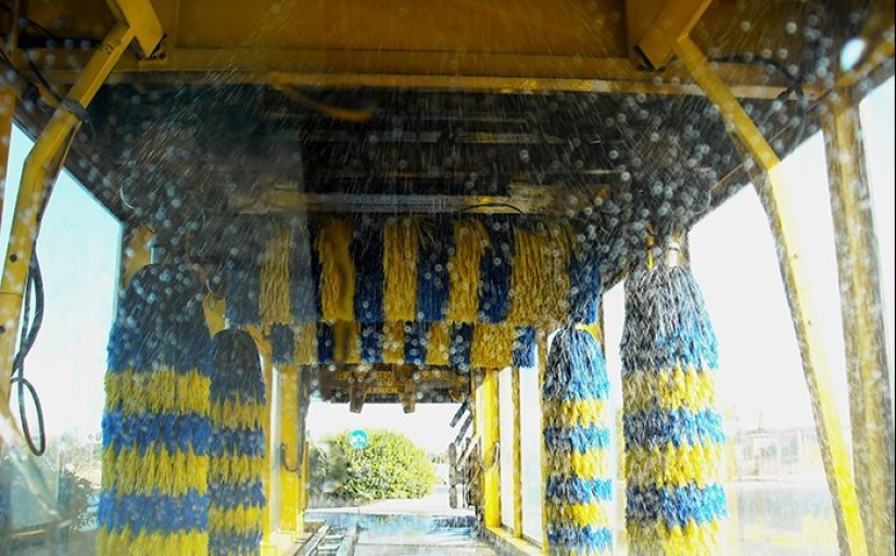 How to save the planet: 20 simple things anyone can do How to save the planet: 20 simple things anyone can do