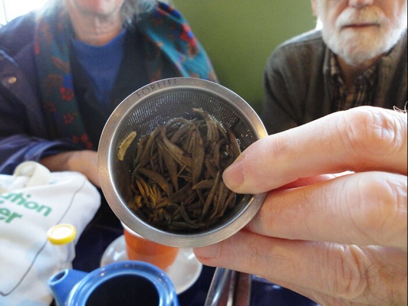 How to save the planet: 20 simple things anyone can do How to save the planet: 20 simple things anyone can do