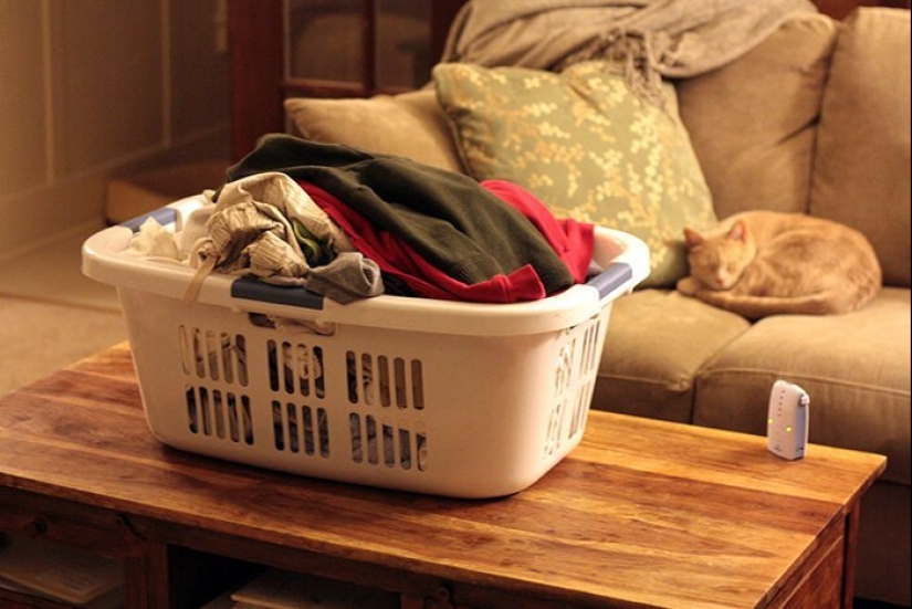 How to save the planet: 20 simple things anyone can do How to save the planet: 20 simple things anyone can do