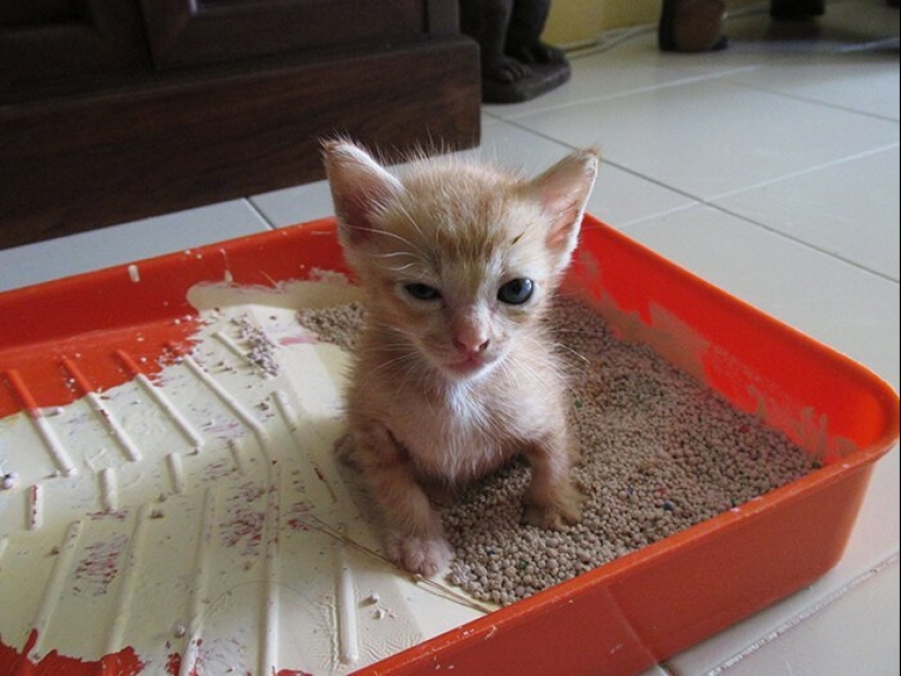 How to save the planet: 20 simple things anyone can do How to save the planet: 20 simple things anyone can do