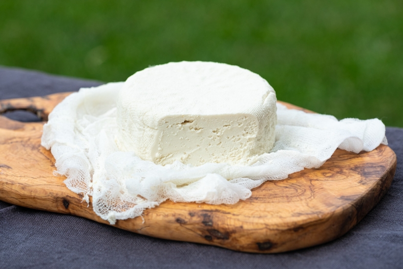 How vegan cheese was invented, what it&#39;s made from, and whether this product can replace dairy alternatives