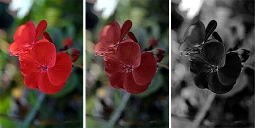 "Hoy me enteré de eso..."30 datos fascinantes sobre todo "Hoy me enteré de eso..."30 datos fascinantes sobre todo