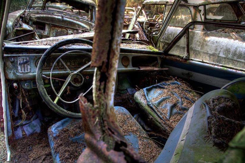 Huge traffic jam in the Belgian forest Huge traffic jam in the Belgian forest