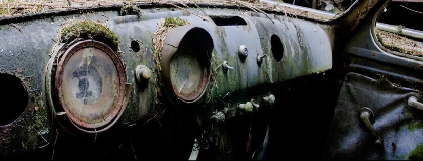 Huge traffic jam in the Belgian forest Huge traffic jam in the Belgian forest