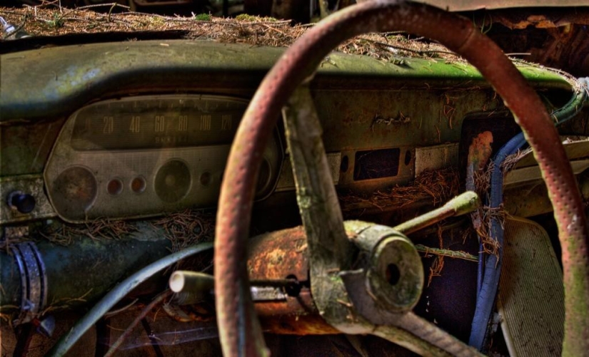 Huge traffic jam in the Belgian forest Huge traffic jam in the Belgian forest