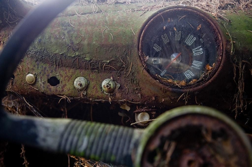 Huge traffic jam in the Belgian forest Huge traffic jam in the Belgian forest