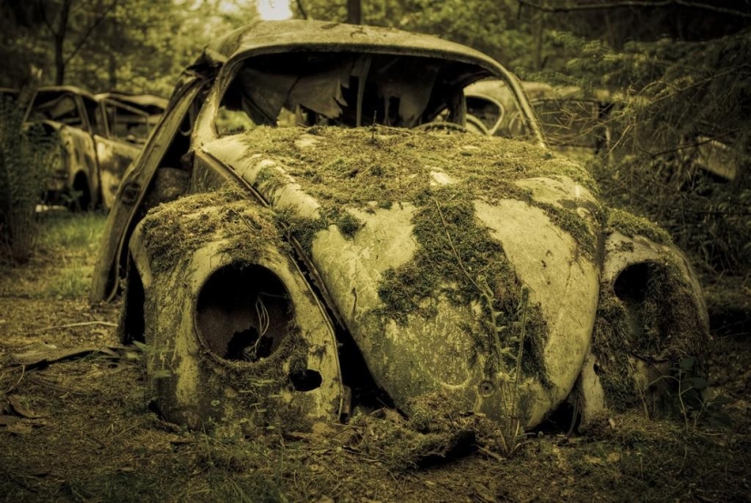 Huge traffic jam in the Belgian forest Huge traffic jam in the Belgian forest