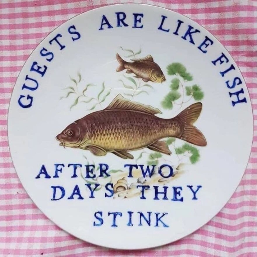 Humor negro sobre porcelana: la artista Camila Meicher y sus "platos feos" Humor negro sobre porcelana: la artista Camila Meicher y sus "platos feos"