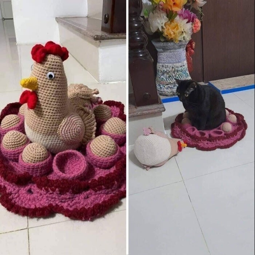 "I am a cat. I'm so comfy": 20+ cats who found themselves in the most unexpected places