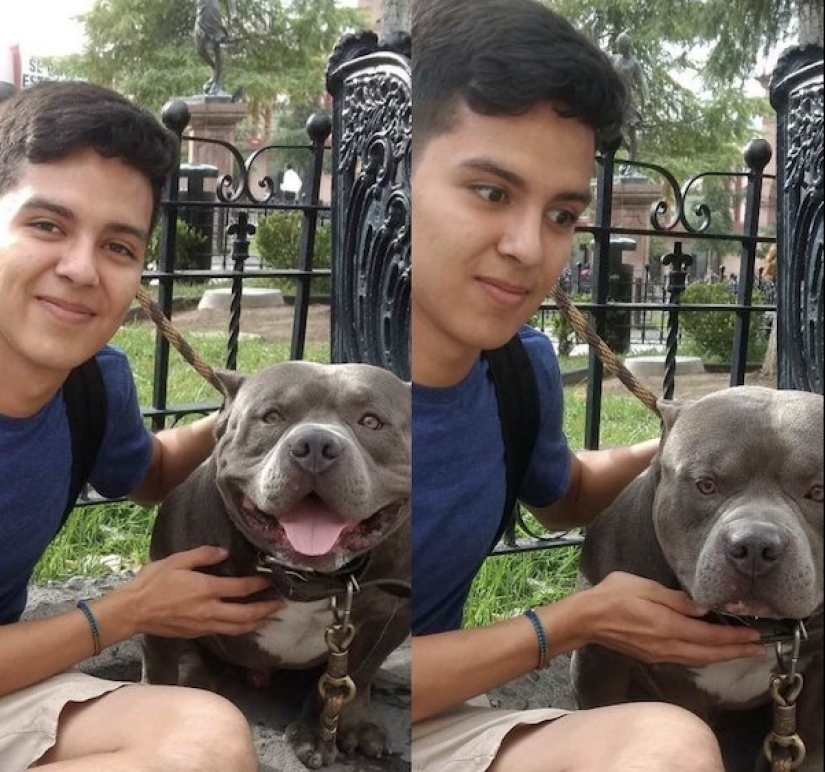 I did and immediately regretted: 17 photos and GIFs that will cheer you up I did and immediately regretted: 17 photos and GIFs that will cheer you up