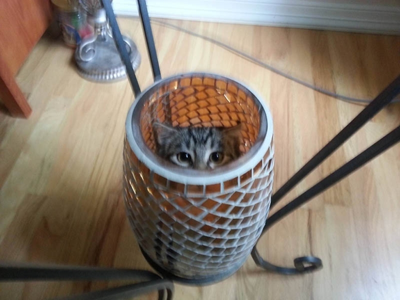 Ideal places to relax — version for cats Ideal places to relax — version for cats