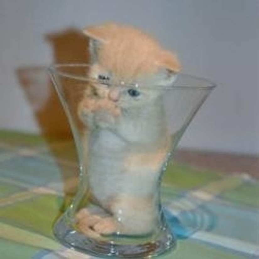 Ideal places to relax — version for cats Ideal places to relax — version for cats