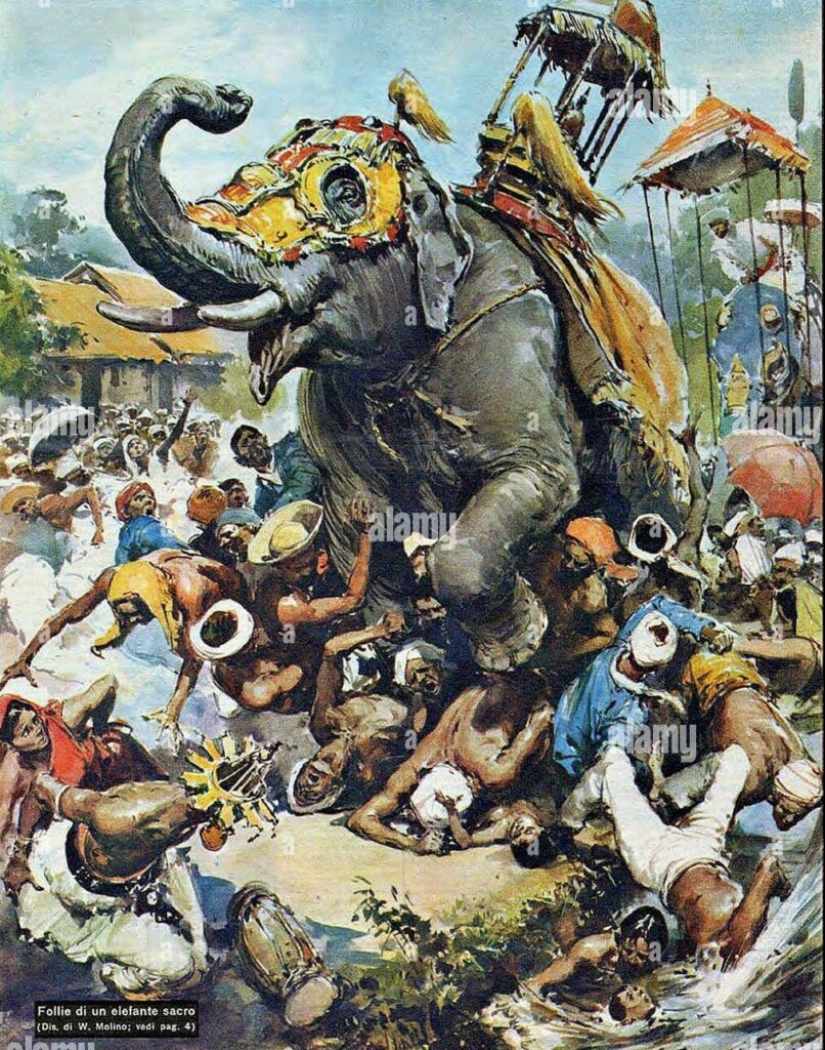 Ilustraciones del maestro del estrés y el desastre Walter Molino Ilustraciones del maestro del estrés y el desastre Walter Molino