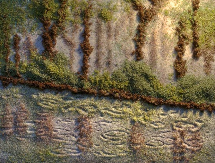 Imagen de la sal y las especias Imagen de la sal y las especias