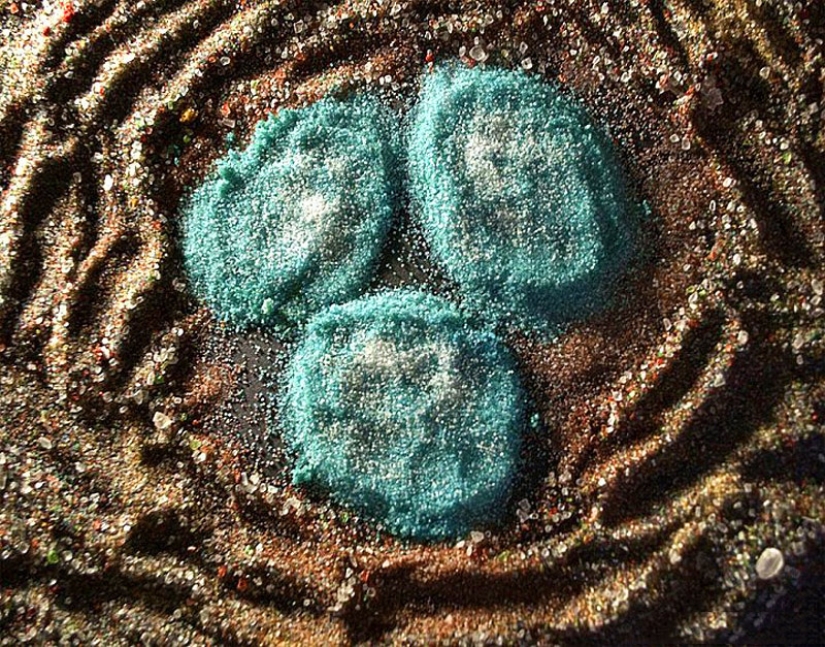 Imagen de la sal y las especias Imagen de la sal y las especias