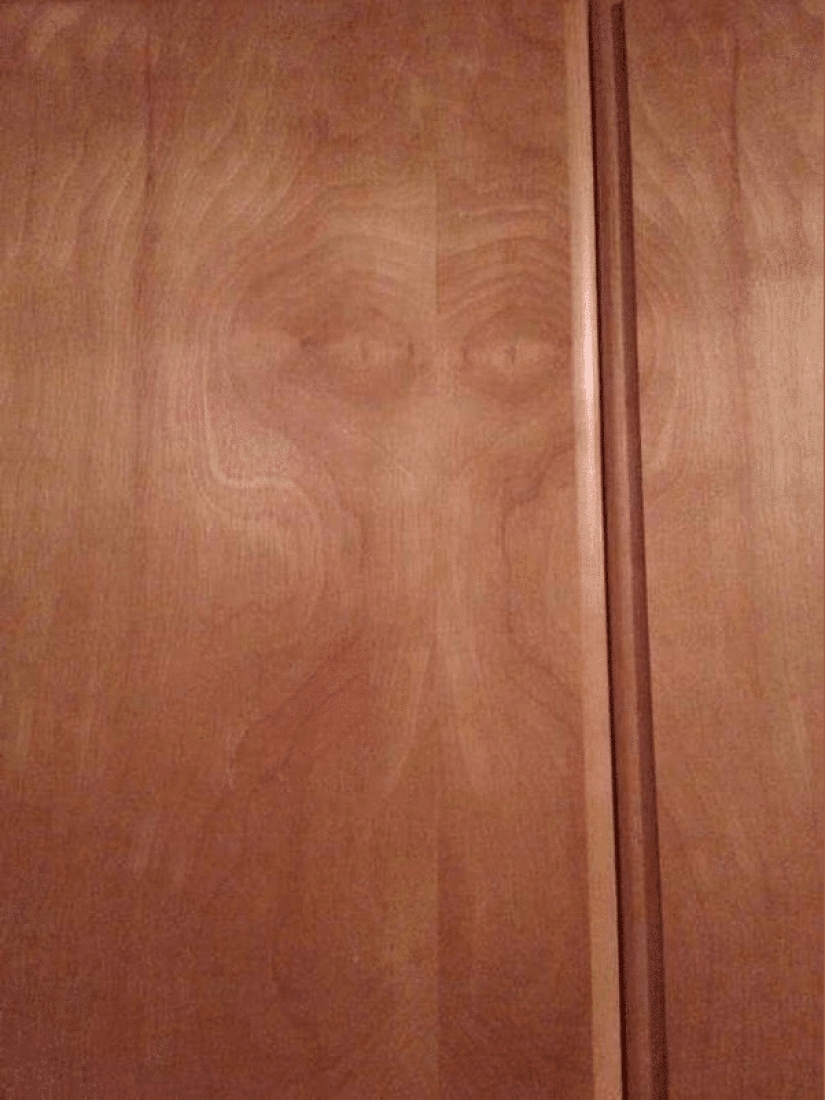 "Imagination Game" — 22 funny examples of pareidolic illusions "Imagination Game" — 22 funny examples of pareidolic illusions