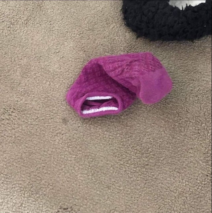 "Imagination Game" — 22 funny examples of pareidolic illusions "Imagination Game" — 22 funny examples of pareidolic illusions