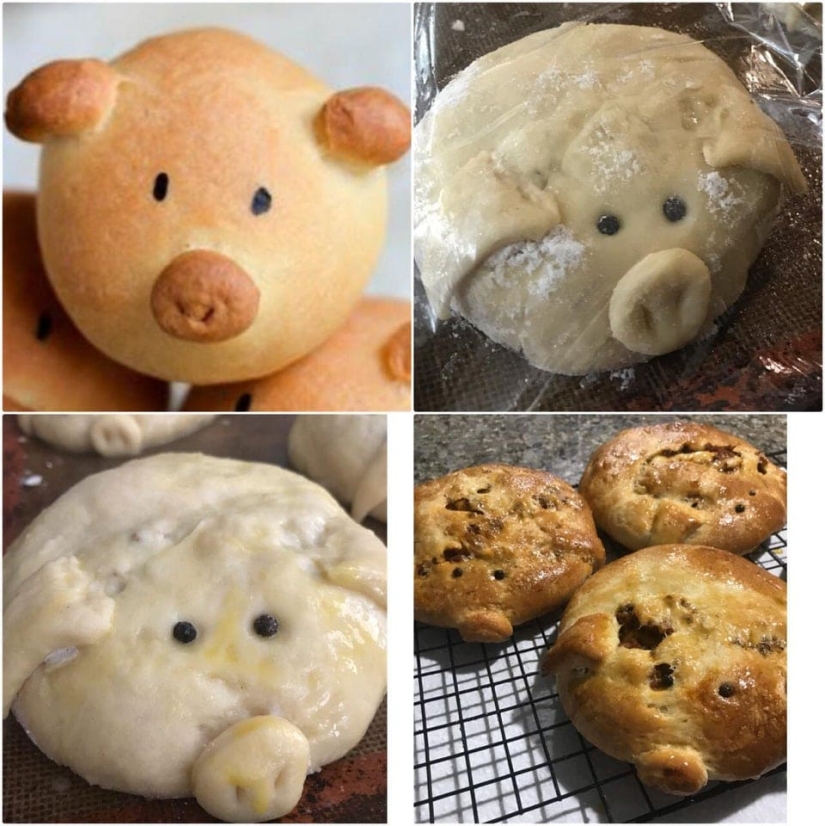 Imágenes divertidas de cocina experimentos, terminó en fracaso Imágenes divertidas de cocina experimentos, terminó en fracaso