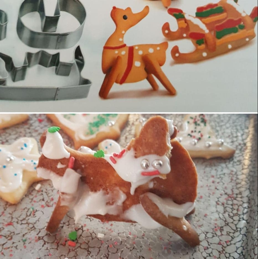 Imágenes divertidas de cocina experimentos, terminó en fracaso Imágenes divertidas de cocina experimentos, terminó en fracaso