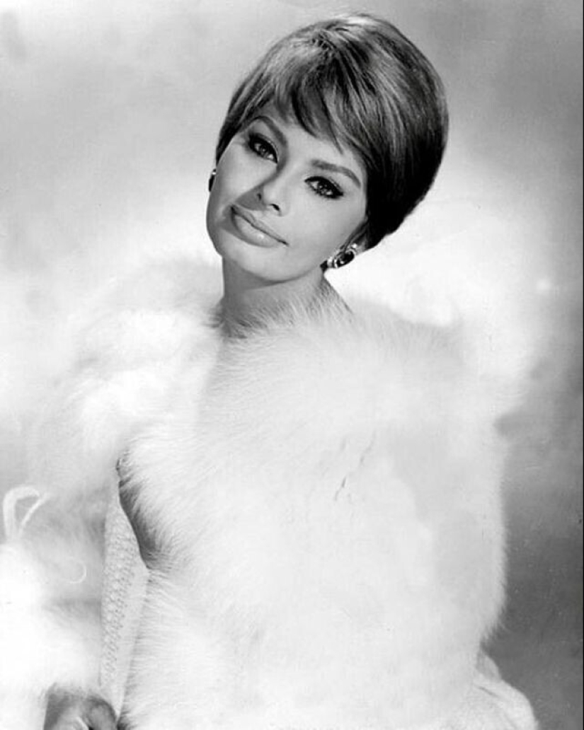 Impresionante Sophia Loren durante el rodaje de la película " Millionaire» Impresionante Sophia Loren durante el rodaje de la película " Millionaire»