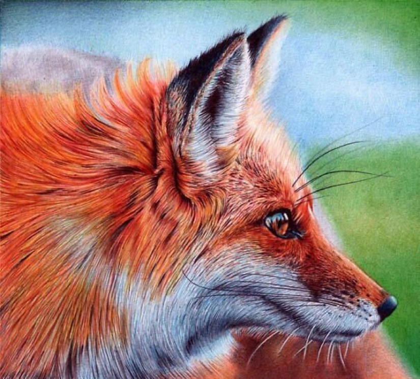 Impresionantes dibujos en bolígrafo de Samuel Silva