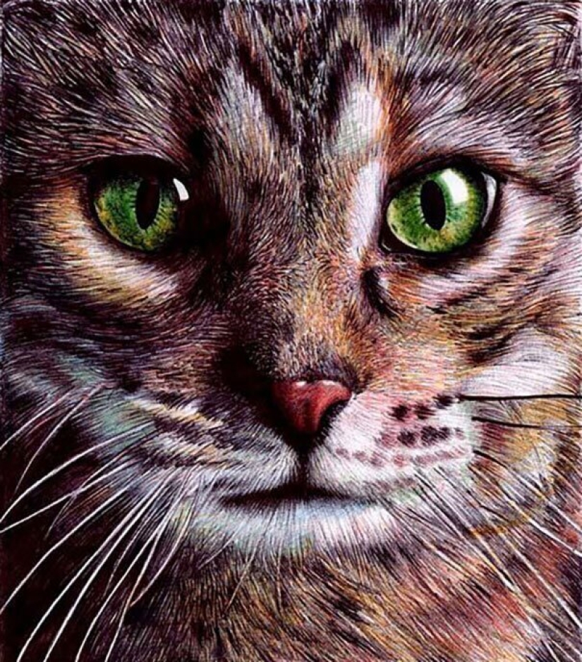 Impresionantes dibujos en bolígrafo de Samuel Silva