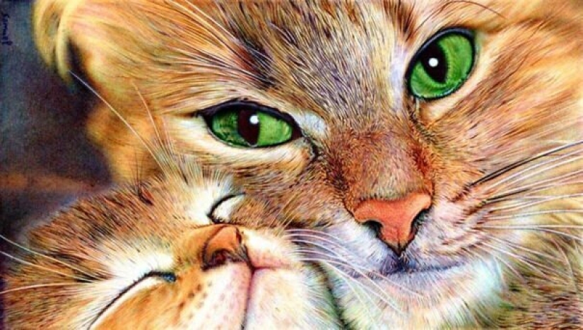 Impresionantes dibujos en bolígrafo de Samuel Silva