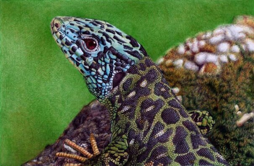 Impresionantes dibujos en bolígrafo de Samuel Silva