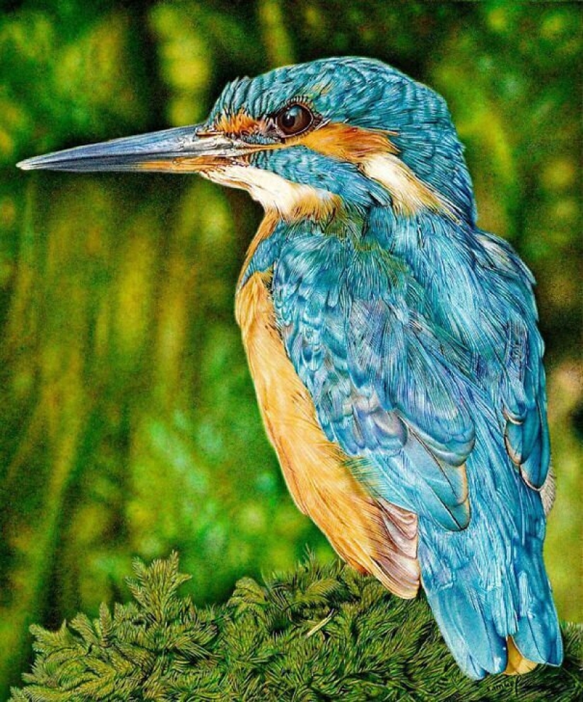 Impresionantes dibujos en bolígrafo de Samuel Silva