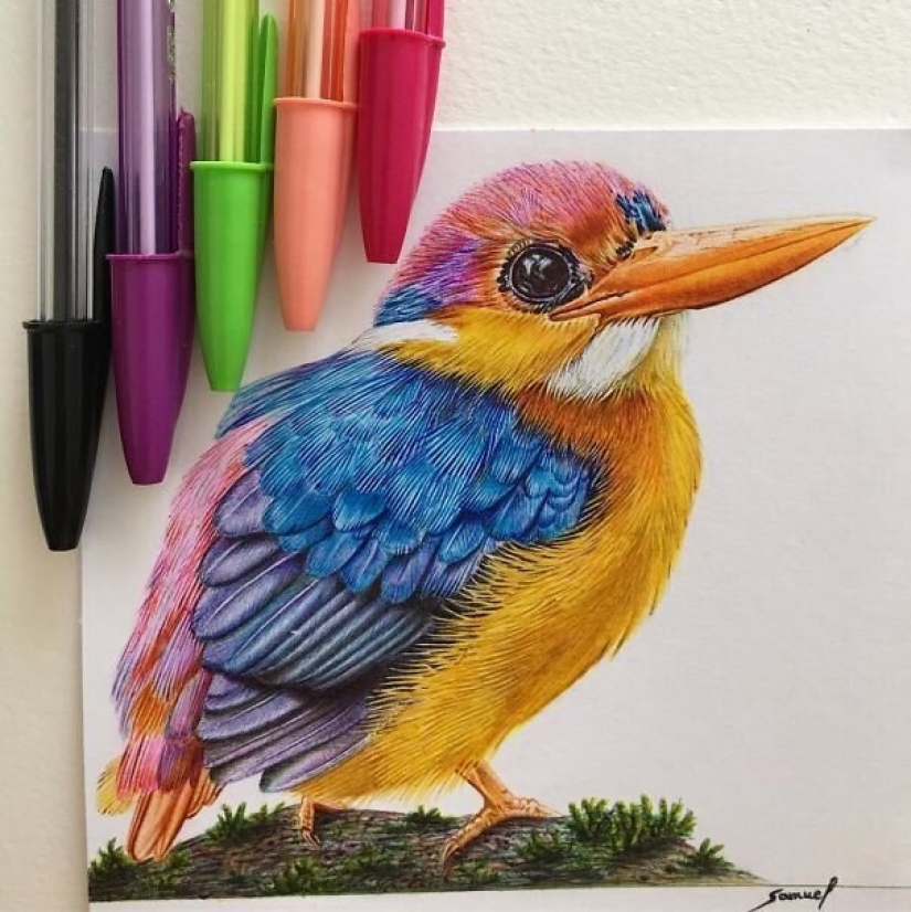Impresionantes dibujos en bolígrafo de Samuel Silva