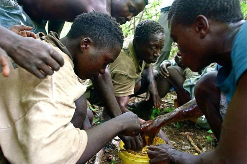 Impresionantes habilidades de los pueblos indígenas y tribales del mundo Impresionantes habilidades de los pueblos indígenas y tribales del mundo