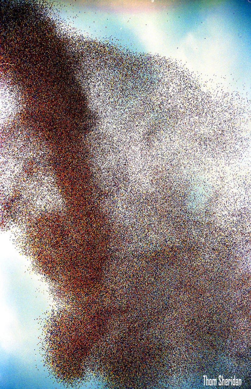 In 1986, Cleveland was attacked by ... balloons