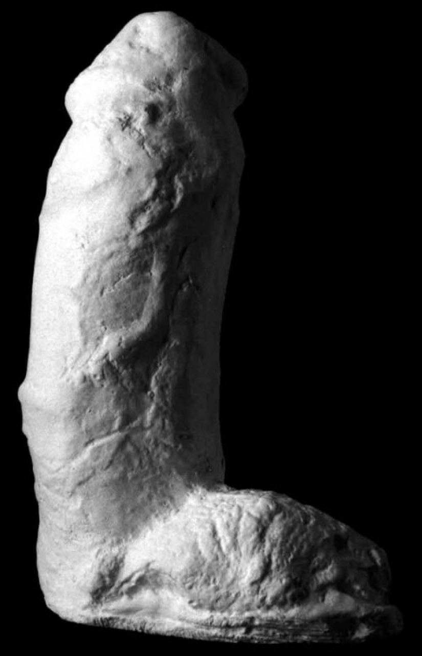 In pursuit of stellar penises, or What is famous for Cynthia "Plaster" Albritton In pursuit of stellar penises, or What is famous for Cynthia "Plaster" Albritton